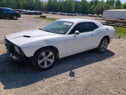 Salvage cars for sale at Charles City, VA auction: 2019 Dodge Challenger SXT