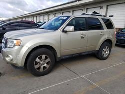 Ford Escape salvage cars for sale: 2011 Ford Escape Limited