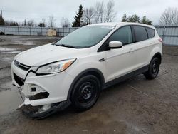 Salvage cars for sale from Copart Ontario Auction, ON: 2013 Ford Escape SE