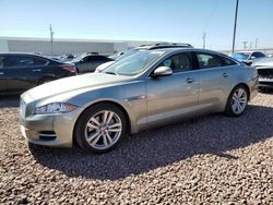 Salvage cars for sale at Phoenix, AZ auction: 2014 Jaguar XJ