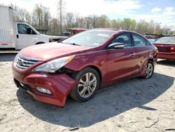 Salvage cars for sale at Waldorf, MD auction: 2013 Hyundai Sonata SE