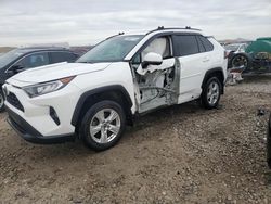 Toyota rav4 xle salvage cars for sale: 2021 Toyota Rav4 XLE