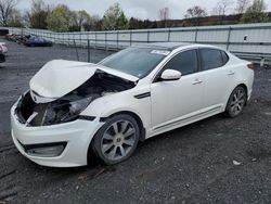 KIA Optima SX Vehiculos salvage en venta: 2012 KIA Optima SX