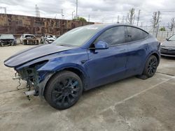 Salvage cars for sale from Copart Wilmington, CA: 2021 Tesla Model Y