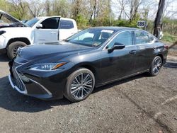 Salvage cars for sale at Marlboro, NY auction: 2023 Lexus ES 350 Base