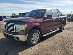 Salvage cars for sale from Copart Brighton, CO: 2010 Ford F150 Supercrew