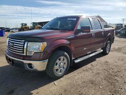 Salvage cars for sale at Brighton, CO auction: 2010 Ford F150 Supercrew