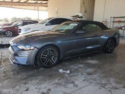 Vehiculos salvage en venta de Copart Homestead, FL: 2023 Ford Mustang