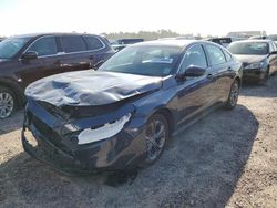 Honda Accord EX Vehiculos salvage en venta: 2023 Honda Accord EX