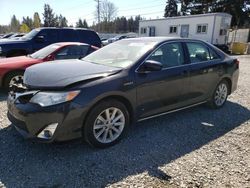 Salvage cars for sale at Graham, WA auction: 2012 Toyota Camry Hybrid