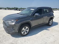 Salvage cars for sale from Copart Arcadia, FL: 2021 Toyota Rav4 XLE