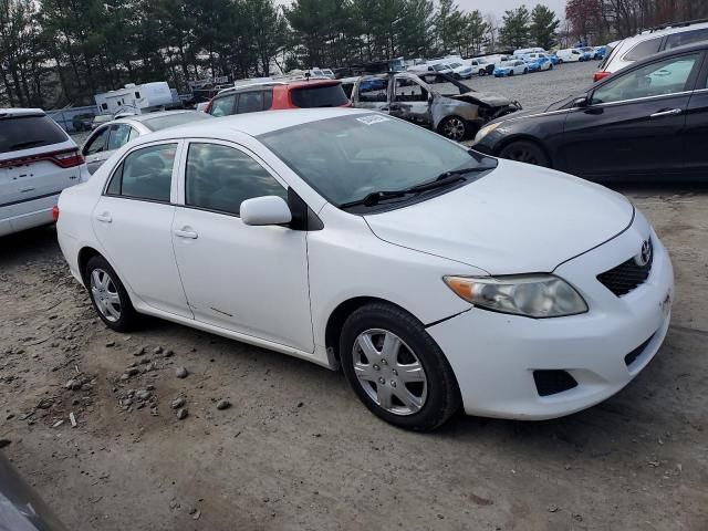 2010 Toyota Corolla Base