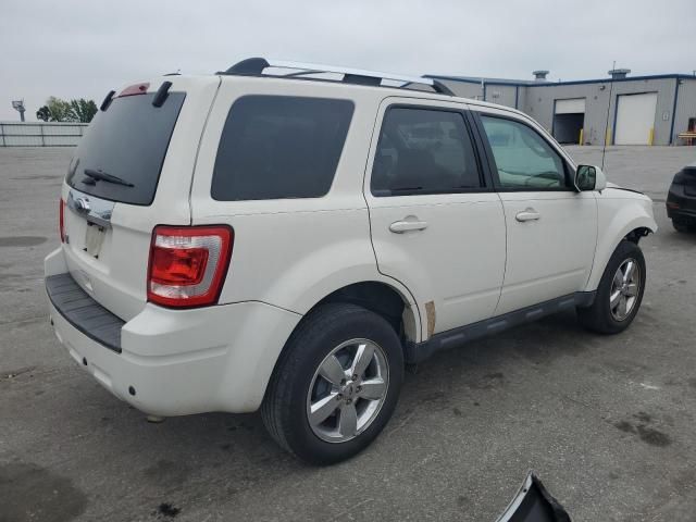 2011 Ford Escape Limited