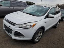 Salvage cars for sale at East Granby, CT auction: 2013 Ford Escape SE