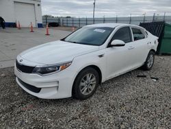 Salvage cars for sale at Farr West, UT auction: 2016 KIA Optima LX