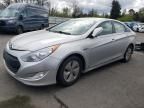 2013 Hyundai Sonata Hybrid