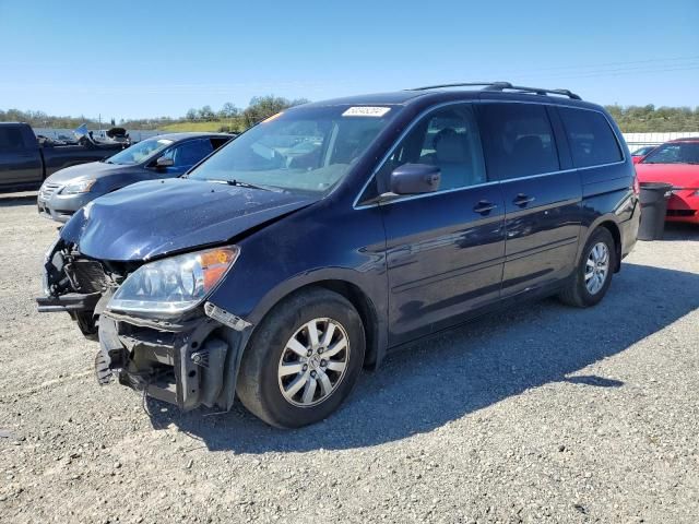 2008 Honda Odyssey EXL