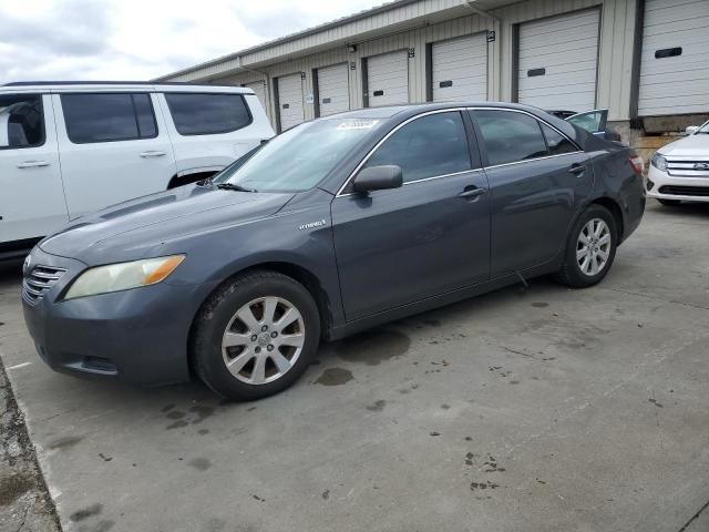 2009 Toyota Camry Hybrid