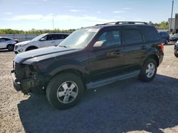 Ford Escape salvage cars for sale: 2011 Ford Escape XLT