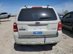 2008 Ford Escape XLT