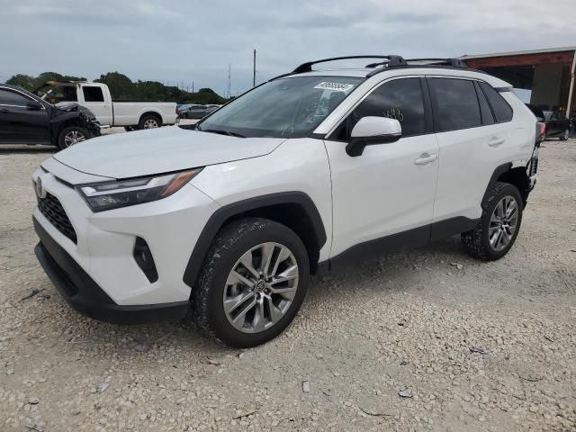 2023 Toyota Rav4 XLE Premium