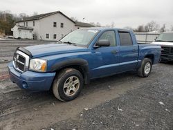 Dodge Dakota salvage cars for sale: 2006 Dodge Dakota Quad SLT