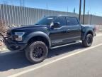 2019 Ford F150 Rapto