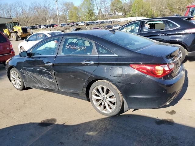 2013 Hyundai Sonata SE