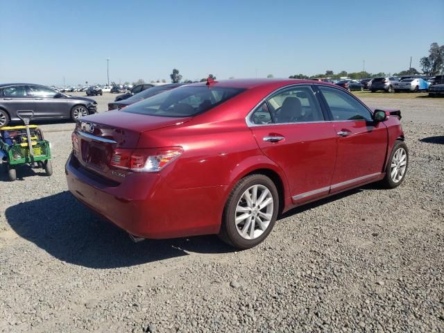 2010 Lexus ES 350