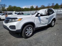 Salvage cars for sale from Copart Grantville, PA: 2011 KIA Sorento Base