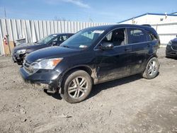 Salvage cars for sale at Albany, NY auction: 2011 Honda CR-V EXL