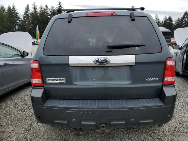 2009 Ford Escape Limited