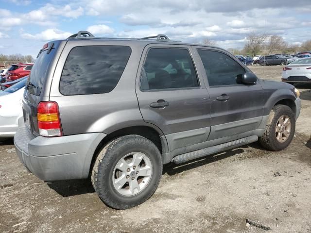 2005 Ford Escape XLT