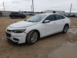 Salvage cars for sale at Temple, TX auction: 2018 Chevrolet Malibu LT