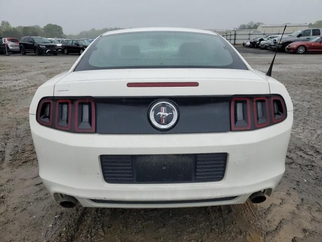 2013 Ford Mustang