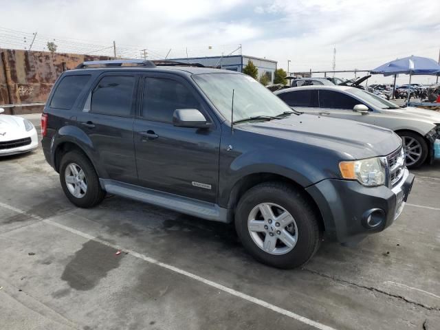 2008 Ford Escape HEV