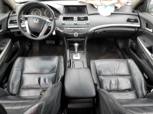 2008 Honda Accord EXL