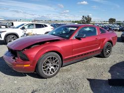Salvage cars for sale from Copart Antelope, CA: 2005 Ford Mustang