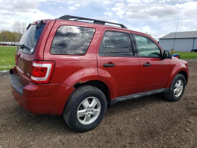 2010 Ford Escape XLT