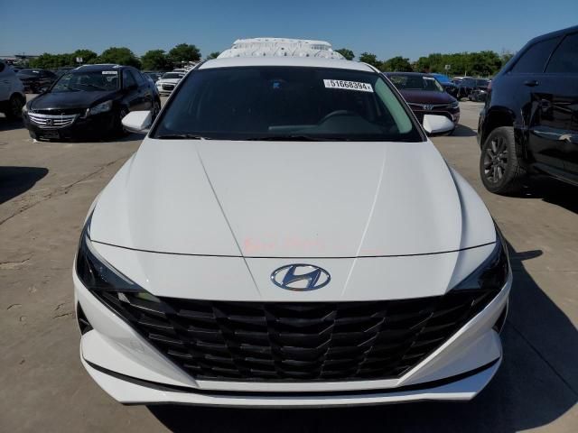 2023 Hyundai Elantra Blue