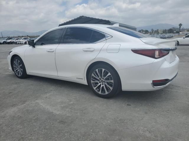 2021 Lexus ES 300H