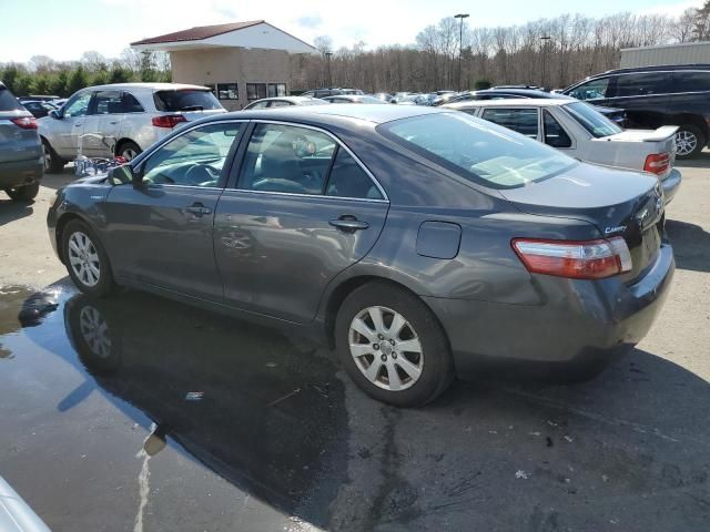 2009 Toyota Camry Hybrid