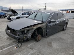 Honda Accord EXL salvage cars for sale: 2012 Honda Accord EXL