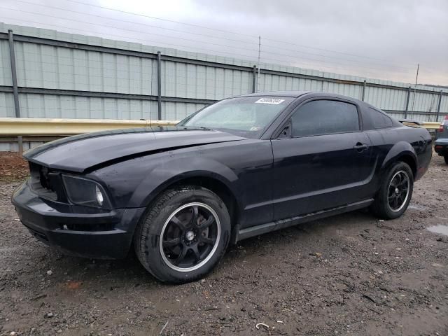 2005 Ford Mustang