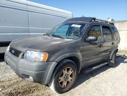 Ford Escape XLT salvage cars for sale: 2002 Ford Escape XLT