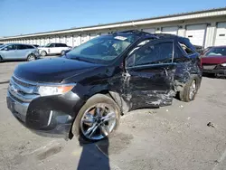 Salvage cars for sale at Louisville, KY auction: 2013 Ford Edge Limited