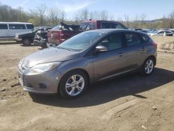2013 Ford Focus SE for sale in Marlboro, NY