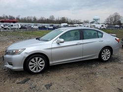 Salvage cars for sale from Copart Hillsborough, NJ: 2013 Honda Accord EXL