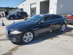 Salvage cars for sale at New Orleans, LA auction: 2013 Jaguar XJL Portfolio