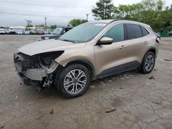 Salvage cars for sale at Lexington, KY auction: 2020 Ford Escape SEL